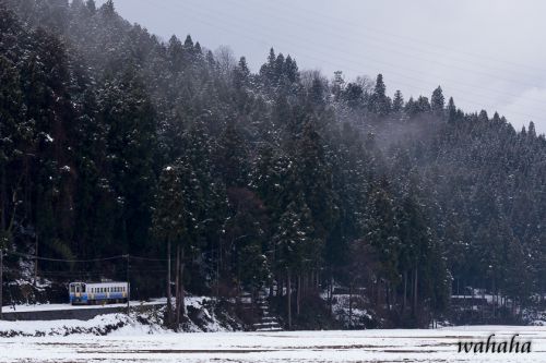 初めてのえちぜん鉄道 ①