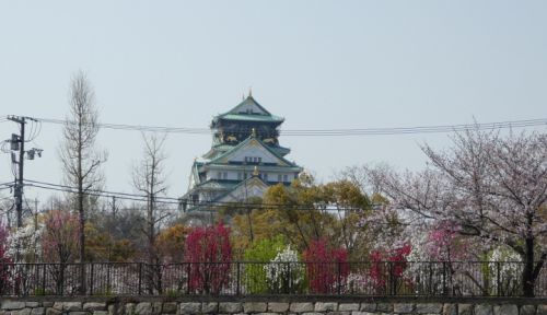 大阪城公園の桜と京阪電車
