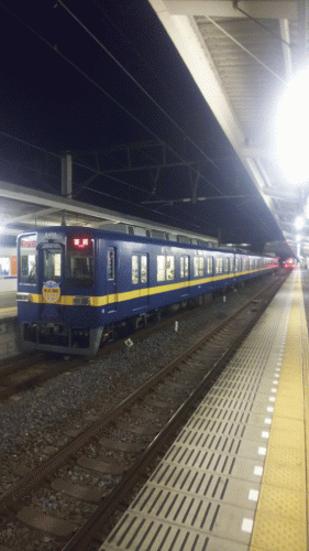 東武東上線の8198F(さよならブルーバード号)3 小川町駅での編成全体画像