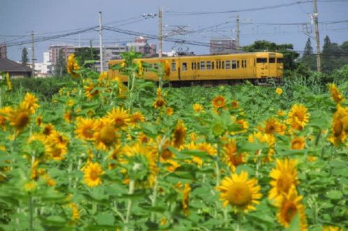 乗り鉄活動　川崎から中央本線経由で米原へ　1989-08-26