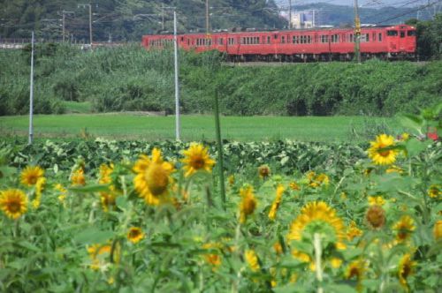 乗り鉄活動　18きっぷ乗りっぱなしの旅　1989-08-29
