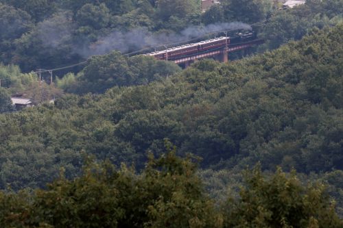 初秋の緑の森に汽車の煙が流れる　- 2019年初秋・秩父鉄道 -