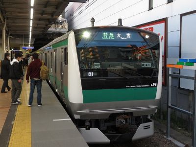 JR東日本E233系7000番台　相鉄本線(緑)特急大宮行き