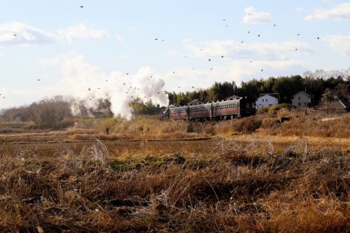 冬の午後の陽射しと冬鳥の中を走り去る汽車　- 2020年・真岡鉄道 -