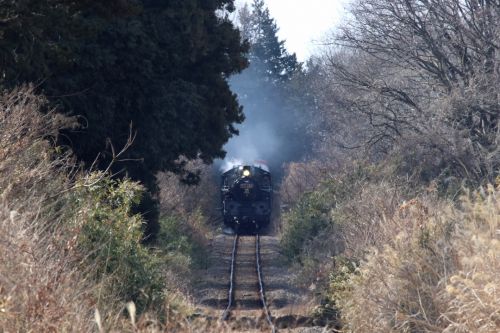 冬の陽差しに揺れる汽車　- 2019年・真岡鉄道 -