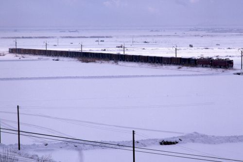 雪原を走る貨物列車　- 1984年・奥羽本線 -