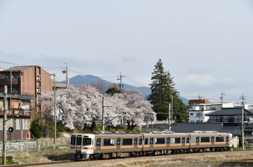 4月12日撮影　飯田線は伊那松島駅近くの桜と絡めて
