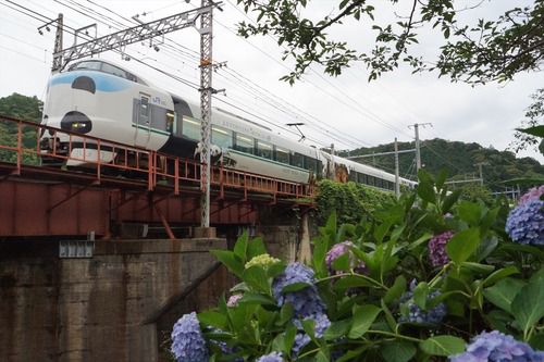 2020年06月21日 山中渓駅近くのアジサイと「パンダくろしお」の撮影記録(2020.6.21・その2)