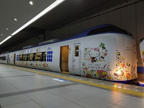 【JR西日本】271系「はるか」を使用した団体臨時列車を運行（2021.11.23）