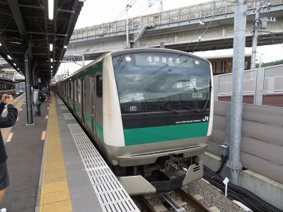 JR東日本E233系7000番台(東京2020)　相鉄本線各停海老名行き