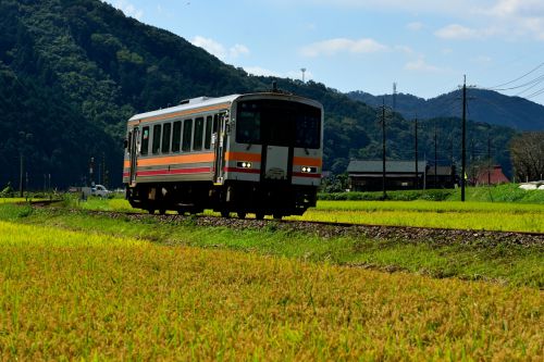 姫新線の実りの秋を行くキハ１２０形ローカル列車（吉見～美作落合）