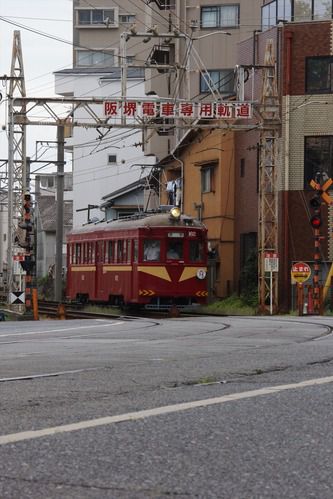 阪堺電気軌道の貸切列車「ことは号」を撮影する（2020.10.4） #ことは号