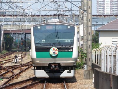 JR東日本E233系7000番台(川越線80周年)　相鉄本線特急海老名行き