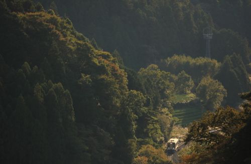 名松線の秋の光線の中を行くキハ１１系ローカル列車（伊勢竹原～伊勢鎌倉）