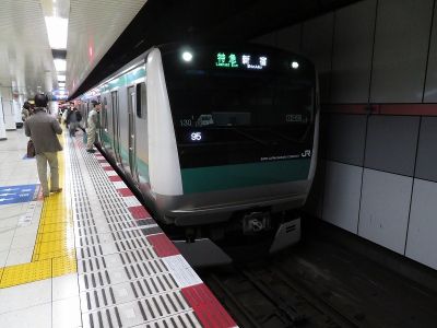JR東日本E233系7000番台　相鉄本線特急新宿行き