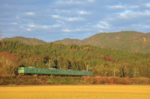 草津線の晩秋の早朝を行く１１３系通勤電車（貴生川～三雲）