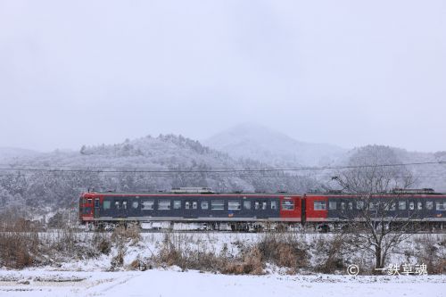 雪国のしなの鉄道115系