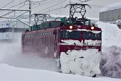 上越カッター (雪確認列車) 単8741レ　EF81 134　2021.1.20