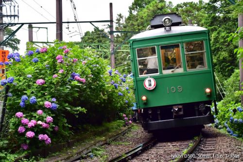 [箱根登山鉄道]モハ2形109号営業運転終了を発表
