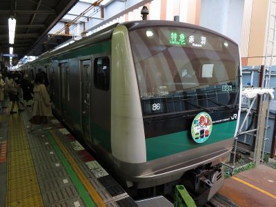 JR東日本E233系7000番台(川越線80周年)　相鉄本線特急赤羽行き