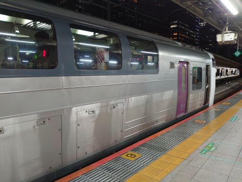 さよなら215系「湘南ライナー」① 【東海道線を駆け抜けた異色のオール2階建て電車】