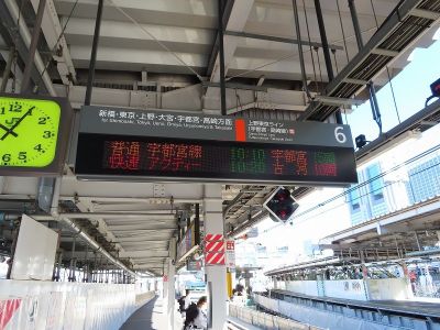 JR東日本E231系　東海道本線快速「アクティー」古河行き