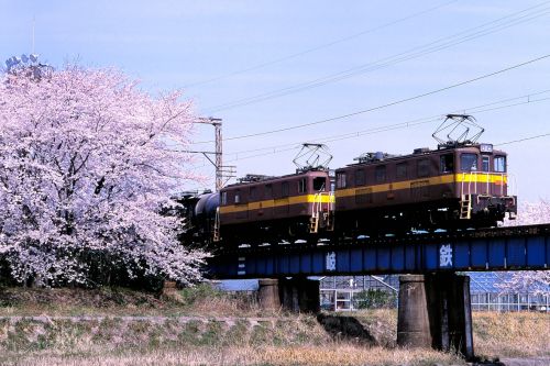 三岐鉄道の桜の季節となった宇賀川橋梁を行くＥＤ４５重連牽引のセメント貨物他（大安～三里）