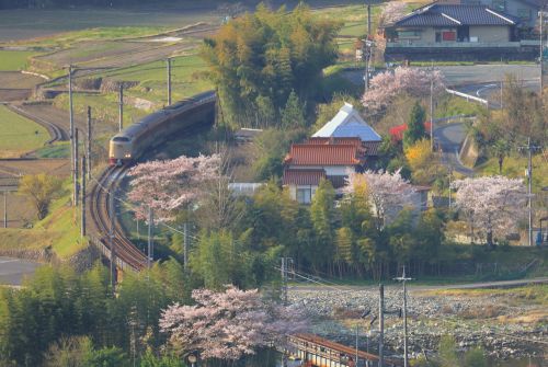 伯備線の桜と桃の花が咲く里山の鉄橋を行く２８５系特急「サンライズ出雲」（備中川面～木野山）