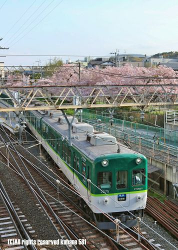 京阪2200系 桜コラボ
