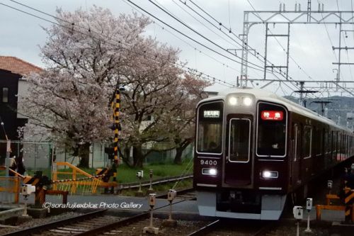 阪急電車と夕方のサクラ2