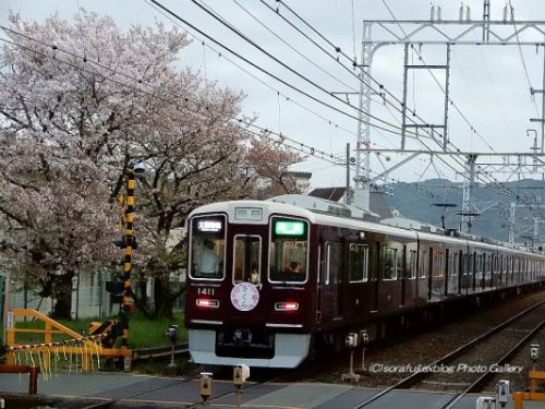 阪急電車とサクラ2