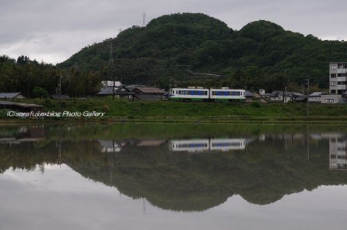 福井鉄道 水田の水鏡