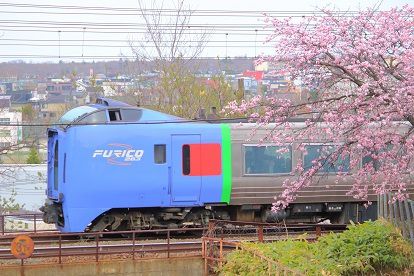 千歳線の新札幌～上野幌間のサクラと列車