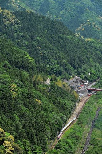 復路は大歩危駅俯瞰