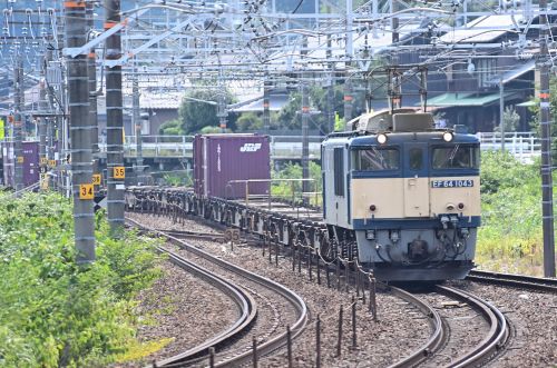 中央西線「今日のロクヨン」８１レ、超スカスカ列車！