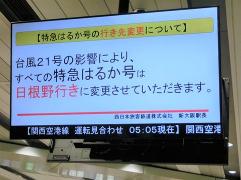 【レアな行き先】 新大阪駅で特急はるか 「日根野行き」 の表示を撮る （2018年9月）