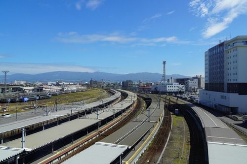 函館本線起点・函館駅構内を俯瞰する