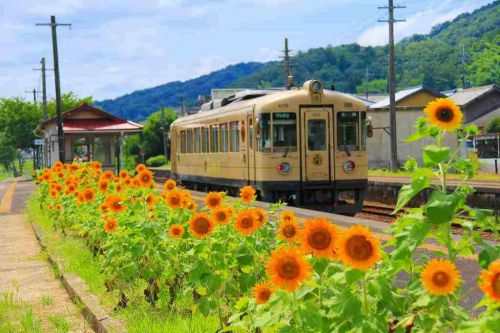 向日葵の咲く駅