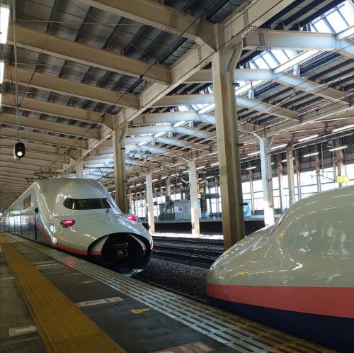 Maxとき・たにがわ併結列車の旅(東京→越後湯沢)【さよなら2階建て新幹線"Max"②】