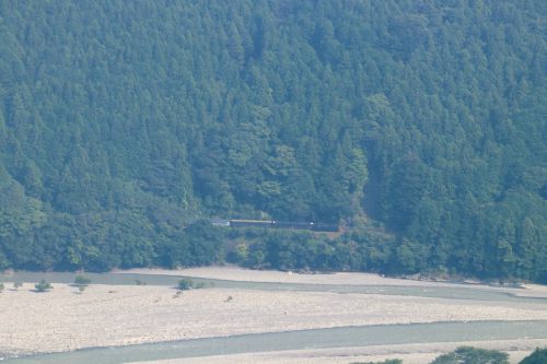 濃い緑の森に黒い汽車　- 2021年残暑・大井川鉄道 -