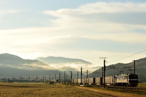 山陽本線の冬枯れ近い田園風景を行くＥＦ３２０機牽引のコンテナ貨物と１１５系ローカル列車（三石～上郡）