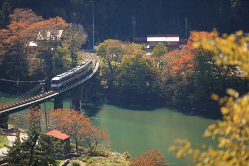 高山本線の青春１８切符の紅葉風景を行くキハ８５系特急「ワイドビューひだ号」