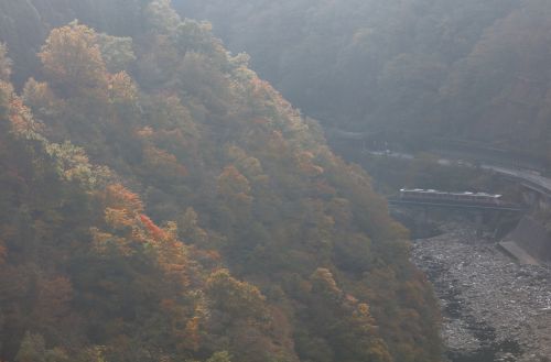 高山本線の秋の宮川沿いの渓谷風景の中を行くキハ２５系ローカル列車（角川～坂上）