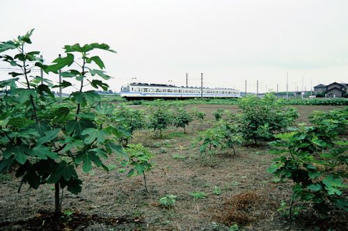 　秩父鉄道でのさえない一日　2006.8.27
