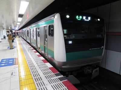 JR東日本E233系7000番台(東京2020)　相鉄本線各停(緑)新宿行き