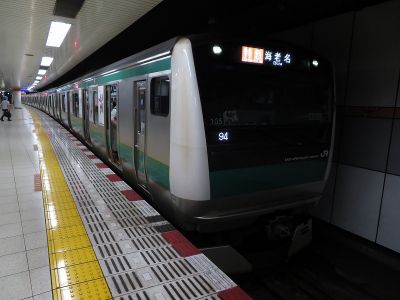 JR東日本E233系7000番台(東京2020)　相鉄本線特急海老名行き