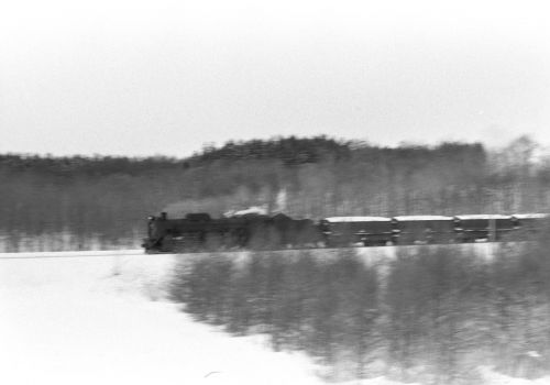 室蘭本線　Ｄ５１貨物列車で流し撮りの練習中